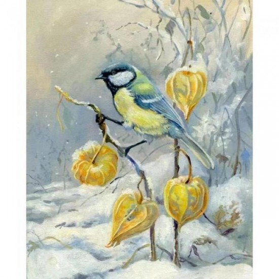 Canvas Kış ve Kuş Sayılarla Boyama Seti Rulo