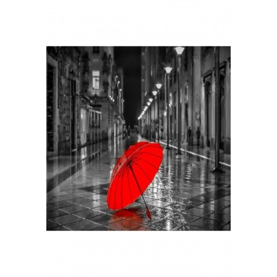 Canvas Gri Sokaklar Ve Kırmızı Şemsiye Sayılarla Boyama Seti   Kasnaklı