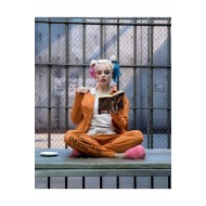 Canvas Harleyquinn'İn Bir Günü Sayılarla Boyama Seti  Rulo