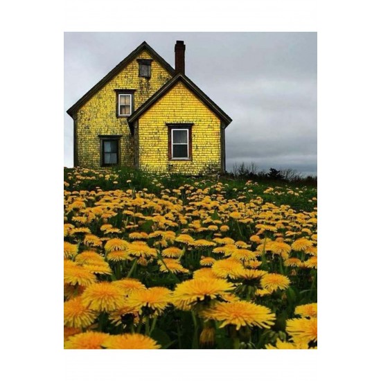 Canvas Çiçek Tarlasındaki Sarı Ev Sayılarla Boyama Seti  Kasnaklı